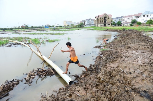 Dự án của Công ty cổ phần đầu tư Nam Phan đang đổ đất san lấp mặt bằng. Đây là dự án được cơ quan chức năng cho phép lấp rạch Bà Hiện, P.Phú Hữu, Q.9, TP.HCM thay thế bằng hồ điều tiết. Phía sau là dãy nhà thuộc dự án của Công ty Khang An cũng được phép lấp rạch mà không phải làm hồ điều tiết (ảnh chụp chiều 21-6) - Ảnh: Quang Định